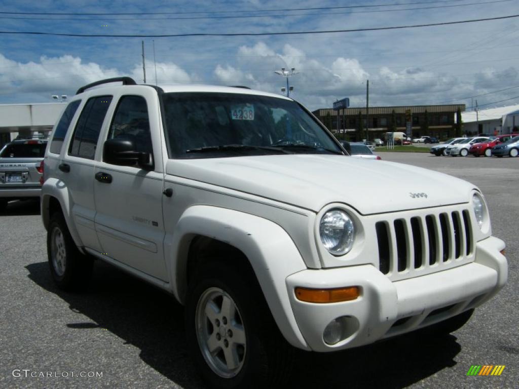 2002 Liberty Limited 4x4 - Stone White / Dark Slate Gray photo #7