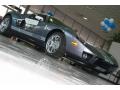 Tungsten Grey - GT  Photo No. 11