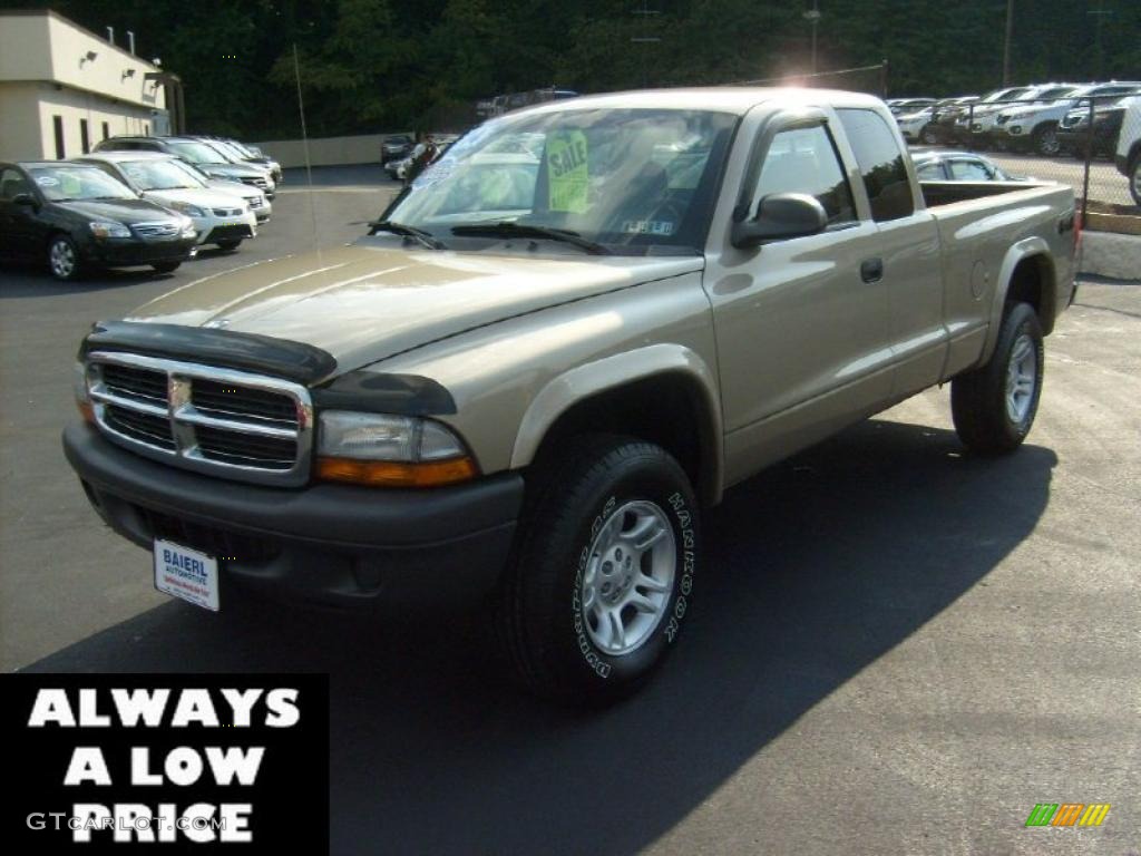 2004 Dakota SXT Club Cab 4x4 - Light Almond Pearl Metallic / Dark Slate Gray photo #3