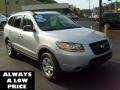 Bright Silver - Santa Fe GLS 4WD Photo No. 1