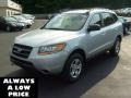 Bright Silver - Santa Fe GLS 4WD Photo No. 3