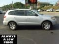Bright Silver - Santa Fe GLS 4WD Photo No. 8