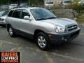 Pewter - Santa Fe GLS 3.5 4WD Photo No. 1