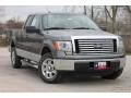 2010 Sterling Grey Metallic Ford F150 XLT SuperCab  photo #1