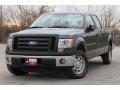 Sterling Grey Metallic - F150 XL SuperCrew Photo No. 3