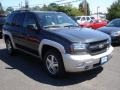 2007 Graphite Metallic Chevrolet TrailBlazer LT 4x4  photo #3