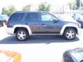 2007 Graphite Metallic Chevrolet TrailBlazer LT 4x4  photo #7