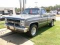 Steel Gray Metallic 1986 Chevrolet C/K C20 Custom Deluxe Regular Cab Exterior