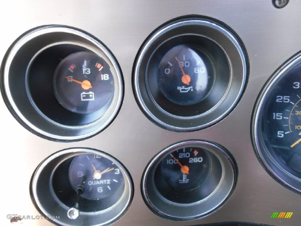 1986 Chevrolet C/K C20 Custom Deluxe Regular Cab Gauges Photo #35625553
