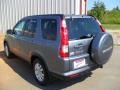 Pewter Pearl - CR-V SE 4WD Photo No. 2