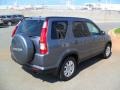 Pewter Pearl - CR-V SE 4WD Photo No. 4