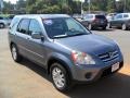 Pewter Pearl - CR-V SE 4WD Photo No. 5