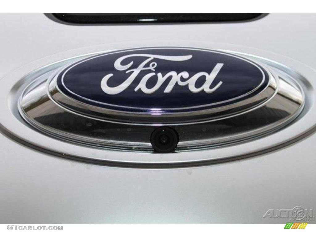 2010 F150 Platinum SuperCrew - Tuxedo Black / Sienna Brown Leather/Black photo #13