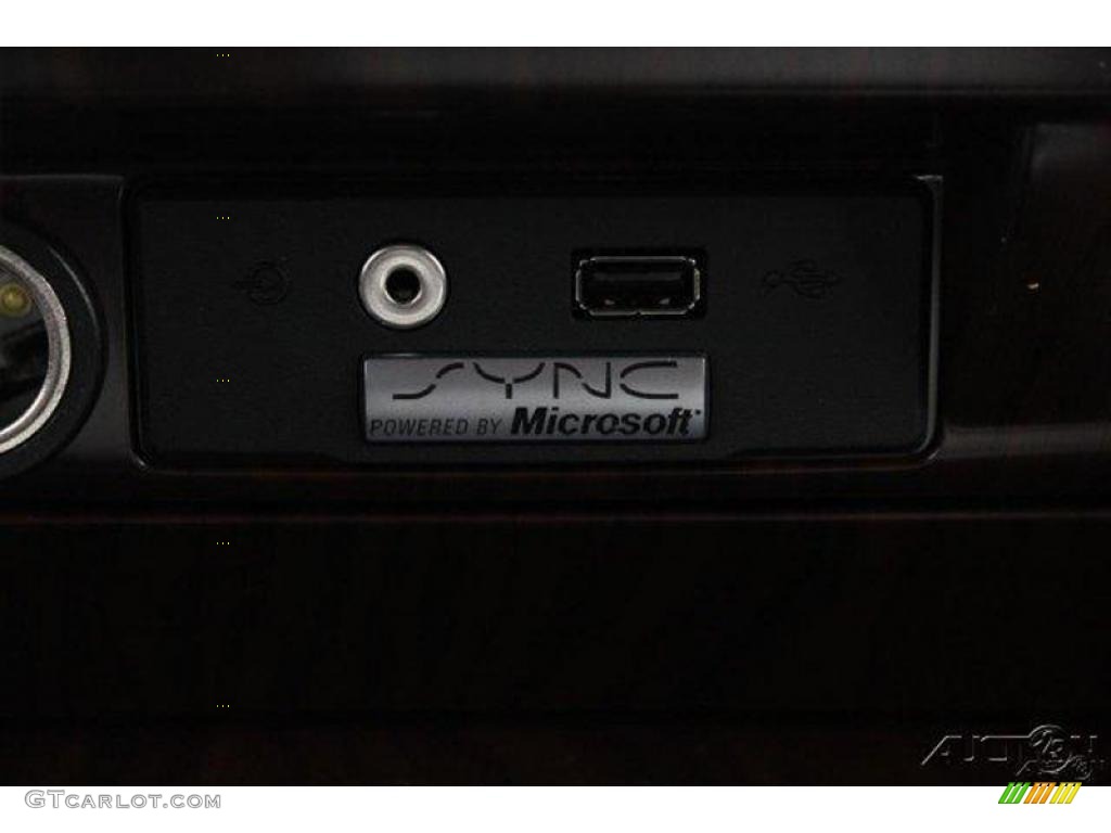 2010 F150 Platinum SuperCrew - Tuxedo Black / Sienna Brown Leather/Black photo #34