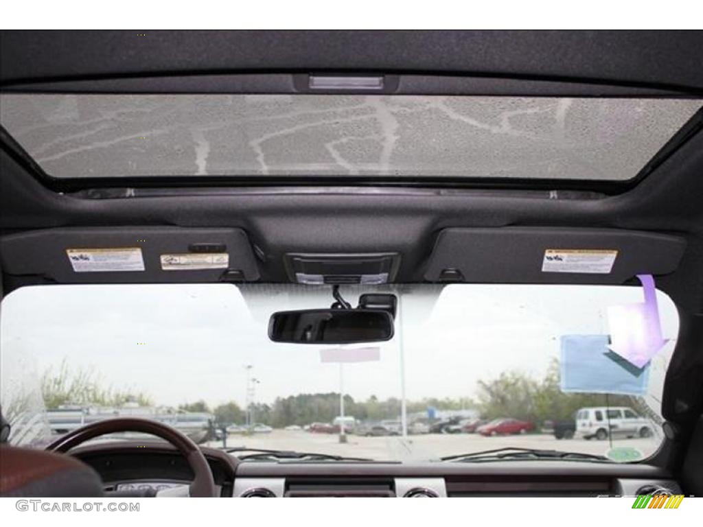 2010 F150 Platinum SuperCrew - Tuxedo Black / Sienna Brown Leather/Black photo #54