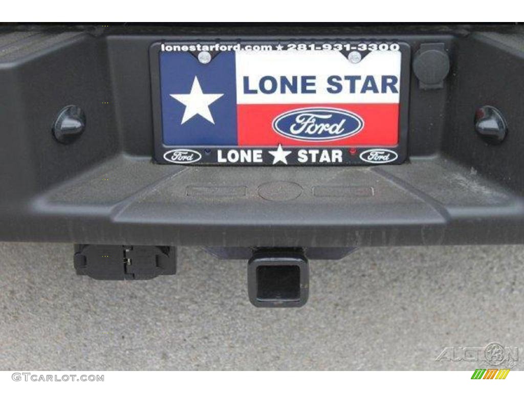 2010 F150 Platinum SuperCrew 4x4 - Tuxedo Black / Sienna Brown Leather/Black photo #13