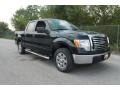 2010 Tuxedo Black Ford F150 XLT SuperCrew  photo #1