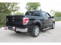 2010 Tuxedo Black Ford F150 XLT SuperCrew  photo #3