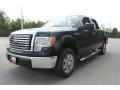 2010 Tuxedo Black Ford F150 XLT SuperCrew  photo #8