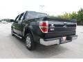 2010 Tuxedo Black Ford F150 XLT SuperCrew  photo #12
