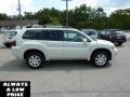 2010 Dover White Pearl Mitsubishi Endeavor LS AWD  photo #6