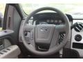 2010 Tuxedo Black Ford F150 XLT SuperCrew  photo #15