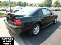 2000 Black Ford Mustang GT Coupe  photo #7