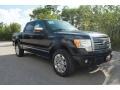 2010 Tuxedo Black Ford F150 Platinum SuperCrew 4x4  photo #1