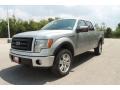 2010 Ingot Silver Metallic Ford F150 FX4 SuperCrew 4x4  photo #8