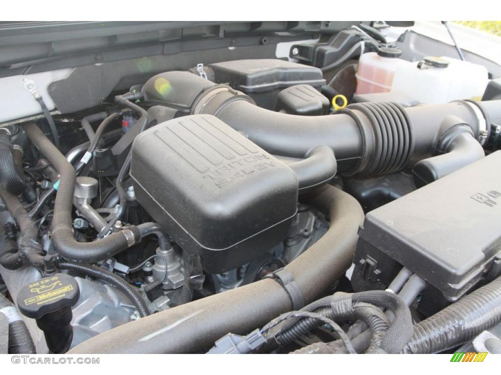 2010 F150 FX4 SuperCrew 4x4 - Ingot Silver Metallic / Black photo #20