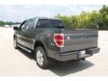 Sterling Grey Metallic - F150 FX4 SuperCrew 4x4 Photo No. 15