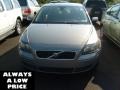 Flint Gray Metallic - S40 2.4i Photo No. 2