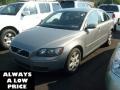 Flint Gray Metallic - S40 2.4i Photo No. 3