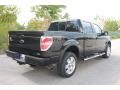 2010 Tuxedo Black Ford F150 FX4 SuperCrew 4x4  photo #3