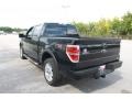 2010 Tuxedo Black Ford F150 FX4 SuperCrew 4x4  photo #12
