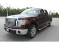 2010 Royal Red Metallic Ford F150 XLT SuperCrew  photo #8