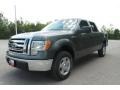 2010 Sterling Grey Metallic Ford F150 XLT SuperCrew  photo #8