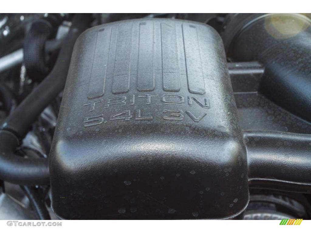 2010 F150 Harley-Davidson SuperCrew 4x4 - Lava Red Metallic / Harley Davidson Lava Red/Black photo #41