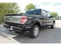 2010 Tuxedo Black Ford F150 Platinum SuperCrew 4x4  photo #3