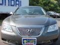 Willow Gray - Sonata GLS Photo No. 19