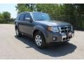 2010 Sterling Grey Metallic Ford Escape Limited  photo #1