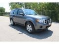 2010 Sterling Grey Metallic Ford Escape XLS  photo #1