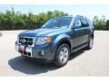 2010 Steel Blue Metallic Ford Escape Limited V6  photo #8