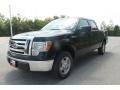 2010 Tuxedo Black Ford F150 XLT SuperCrew  photo #8