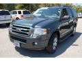 2009 Black Pearl Slate Metallic Ford Expedition XLT  photo #12