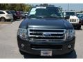 2009 Black Pearl Slate Metallic Ford Expedition XLT  photo #13