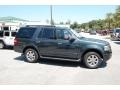2009 Black Pearl Slate Metallic Ford Expedition XLT  photo #14