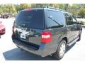2009 Black Pearl Slate Metallic Ford Expedition XLT  photo #15