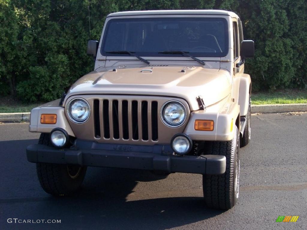 1999 Wrangler Sahara 4x4 - Desert Sand Pearlcoat / Camel/Dark Green photo #9