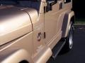 1999 Desert Sand Pearlcoat Jeep Wrangler Sahara 4x4  photo #11